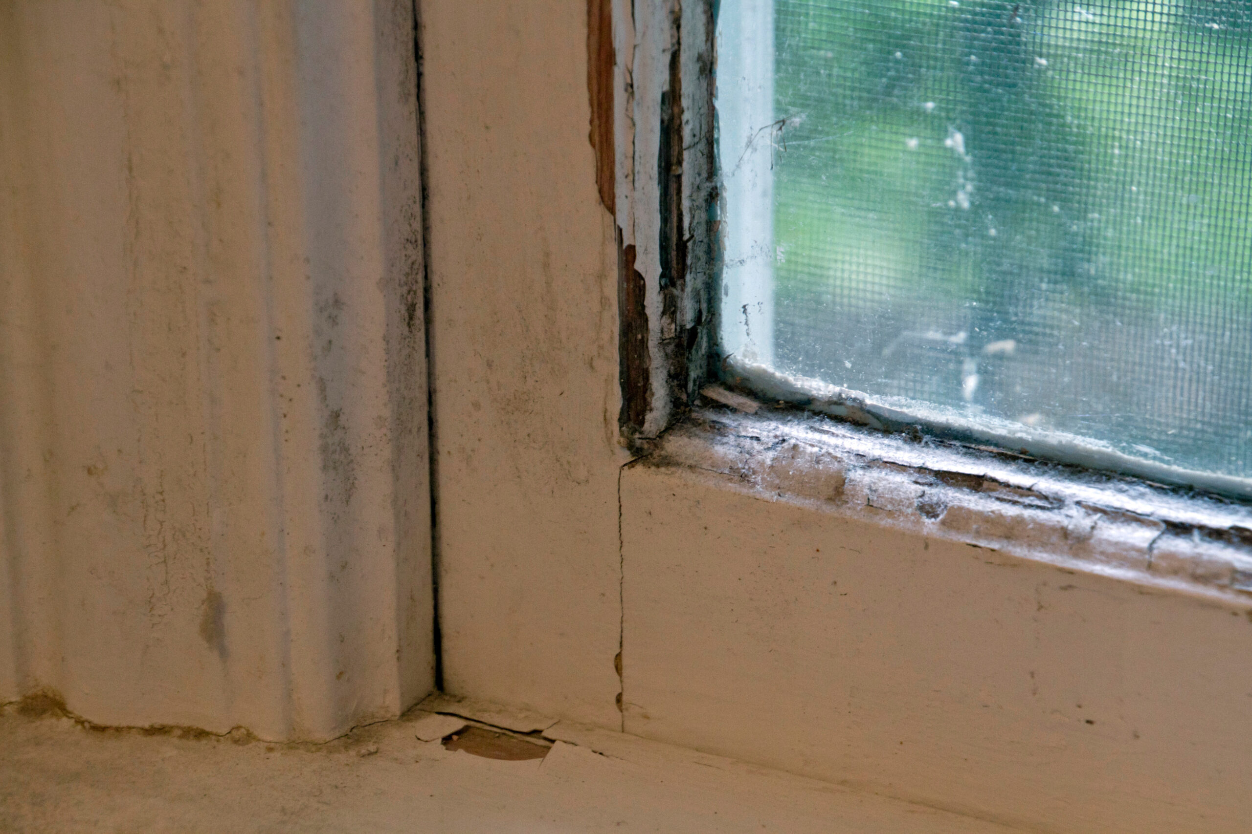 lose up of an old wooden window and window frame that is covered in mold and has peeling paint and is in need of repair or replacement